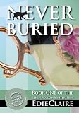 Never Buried (Leigh Koslow Mystery Series)