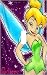 Tinkerbell Believe in Fairies Decorative Switchplate Cover