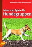 Ideen und Spiele für Hundegruppen: Hundekurse sinnvol gestalten