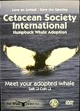 Humpback Whale Adoption (CSI) - Colt (includes the Colt DVD, Adoption Certificate and Family Tree)