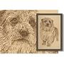 Norfolk Terrier Lithograph by Stephen Kline