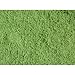 Search : Coarse Foliage, Spring Meadow Green 20cu in