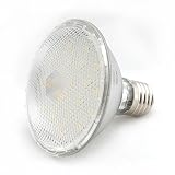 Wide Angle PAR30 LED Flood Light 30 SMT 110 Volt, 1318CV