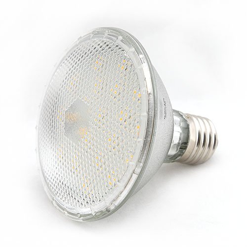 Wide Angle PAR30 LED Flood Light 30 SMT 110 Volt, 1318CV