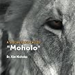 A Special Place Called "Moholo"