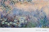Claude Monet (Water Lilies With Iris) Art Poster Print - 26" X 38"