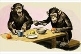 Photographic Print of Z for Zoo. Chimpanzee s tea-party