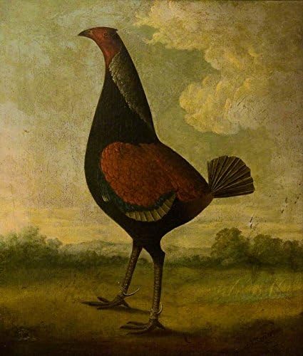 Cheap Famous Pattern Oil Painting On Canvas Wall 100% Hand-Painted Unframed,A Fighting Cock in a Landscape,Size:22.2 x 18.7 inch(56.5cm x 47.5cm)