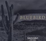 Saguaro (1995-2003)