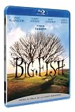 Big Fish