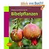 Bibelpflanzen kennen und kultivieren
