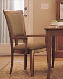 American View Upholstered Back Arm Chair