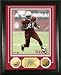 Beanie Wells Framed 24KT Gold Coin Arizona Cardinals Photo Mint