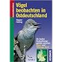 V�gel beobachten in Ostdeutschland: Die besten Beobachtungsgebiete zwischen R�gen und Th�ringer Wald