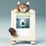 Maine Coon Cat Picture Frame (2 1/2 X 3 1/2)