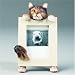 maine coon - Maine Coon Cat Picture Frame (2 1/2 X 3 1/2)