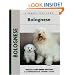 Bolognese (Kennel Club Books (Numbered)) (Comprehensive Owner's Guide)