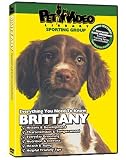BRITTANY SPANIEL DVD! Includes Bonus Dog & Puppy Training