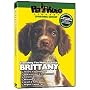 BRITTANY SPANIEL DVD! Includes Bonus Dog & Puppy Training