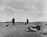 IMAGE OF Golf Digest Old Course St. Andrews Greenskeepers Photograph, Unframed Print (18x24-inch)
