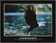 Motivational - Leadership, Motivational Poster