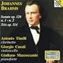 Johannes Brahms : Sonate Op. 120: No. 1, No. 2 / Trio Op. 114