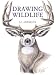 Drawing Wildlife