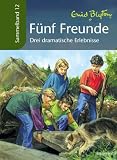 Produkt-Bild: F&uuml;nf Freunde - Drei dramatische Erlebnisse: Sammelband 12