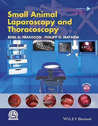 Small Animal Laparoscopy and Thoracoscopy (AVS Advances in Veterinary Surgery) by Philipp D. Mayhew (2015-09-29)