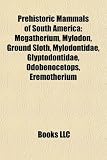Prehistoric Mammals of South America: Megatherium, Mylodon, Ground Sloth, Mylodontidae, Glyptodontidae, Odobenocetops, Eremotherium