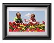 Viewsonic VFD720-12 7-Inch Digital Photo Frame with 2GB Internal Memory