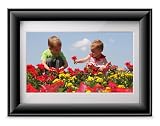 Viewsonic VFD720-12 7-Inch Digital Photo Frame with 2GB Internal Memory
