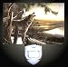 Call of the Wild Decorative Night Light