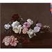 Power, Corruption & Lies
