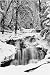 Country Stream In Winter, Michigan - Can by Unknown. Size 36.00 inches width by 52.16 inches height. High Quality Art Poster Print