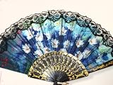 Spanish Hand Fan Decorative Design 1