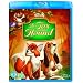 The Fox and the Hound [Blu-ray] [1981] [Region Free]