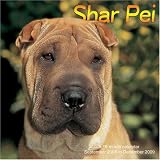 Shar-Pei 2009 Wall Calendar