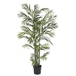 5' Areca Silk Palm Tree