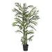 5' Areca Silk Palm Tree
