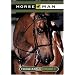 HORSE AND MAN, Episode 1