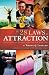 The 28 Laws of Attraction: Stop Chasing Success and Let It Chase You