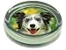 BLUE MERLE BORDER COLLIE Glass Paper Weight