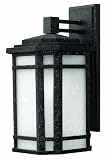 Cherry Creek Vintage Black Outdoor Wall Light Hinkley (1274VK-ES)