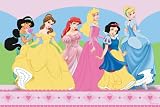Disney Ballroom Princess Carpet Aera Rug 54