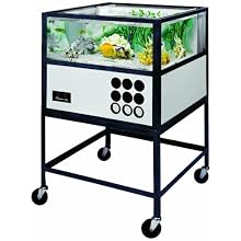 American Educational Oceanic Saltwater Aquarium with Stand, 55 Gallon Capacity, Glass