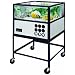 American Educational Oceanic Saltwater Aquarium with Stand, 55 Gallon Capacity, Glass