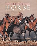 The beautiful horse