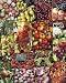 City Market Jigsaw Puzzle 1000pc