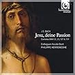 J.S. Bach: Jesu, Deine Passion